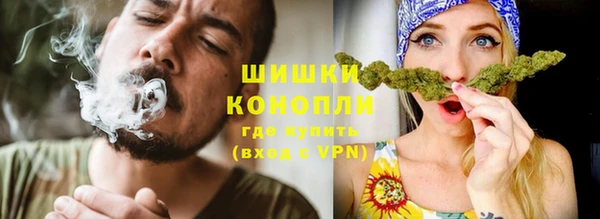 твердый Богородск