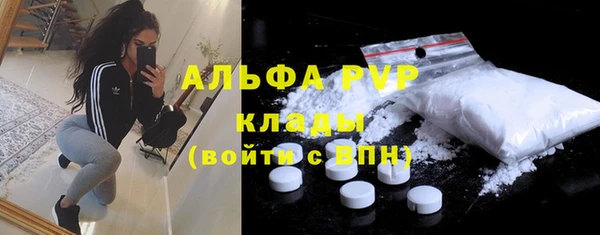 прущие грибы Бугульма