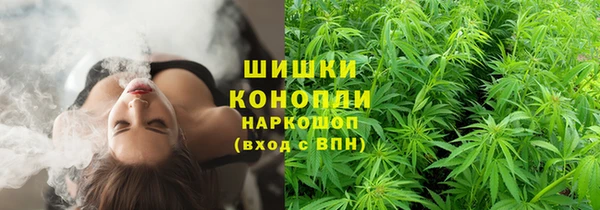твердый Богородск