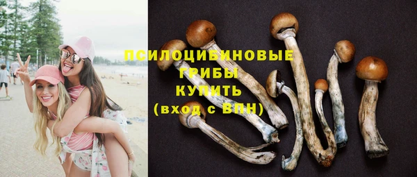 твердый Богородск