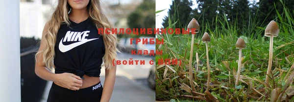 метамфетамин Богородицк