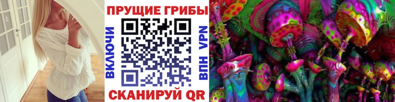 Псилоцибиновые грибы Psilocybine cubensis  сколько стоит  Каспийск 